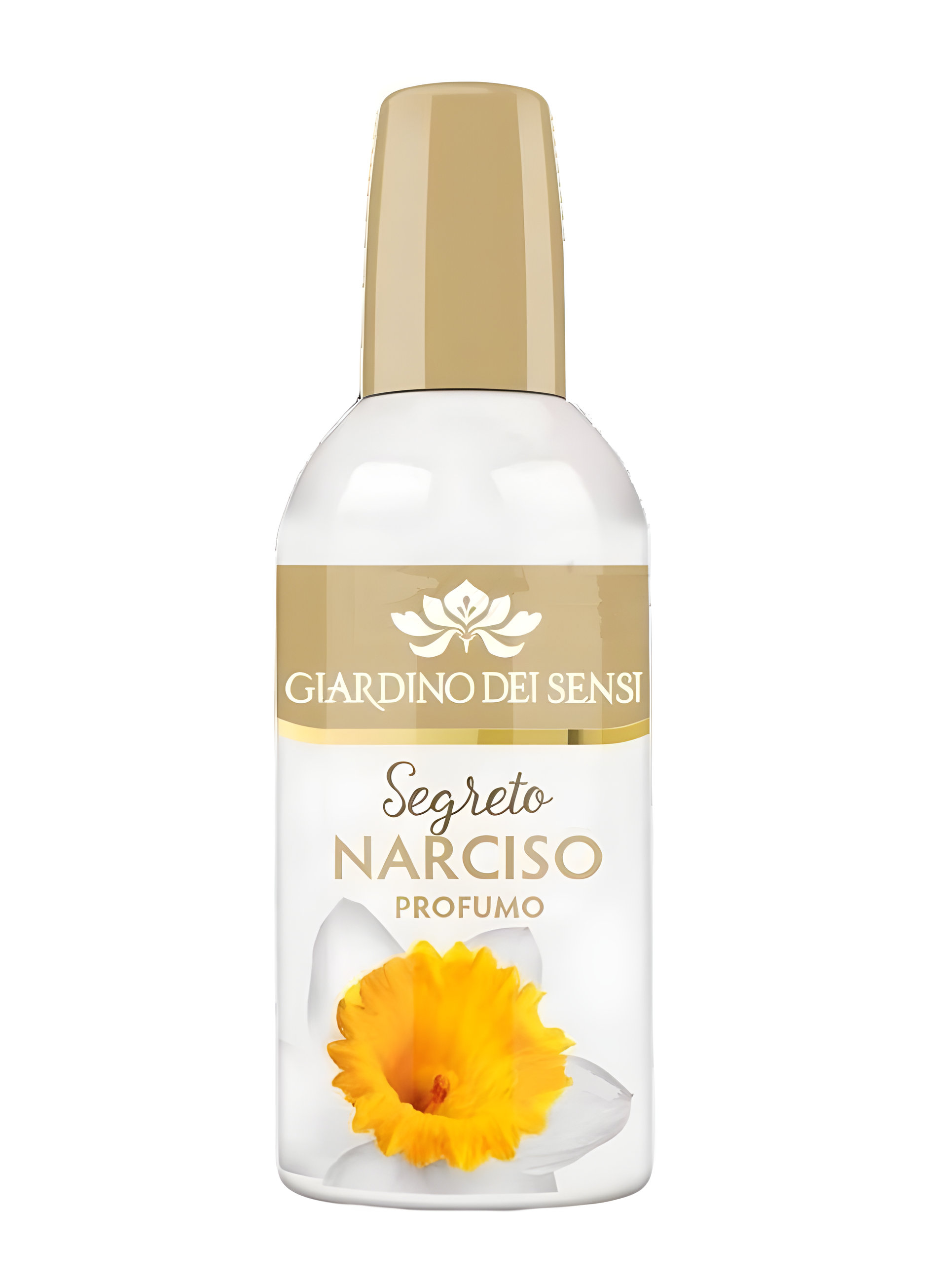 Segreto Narciso by Giardino Dei Sensi