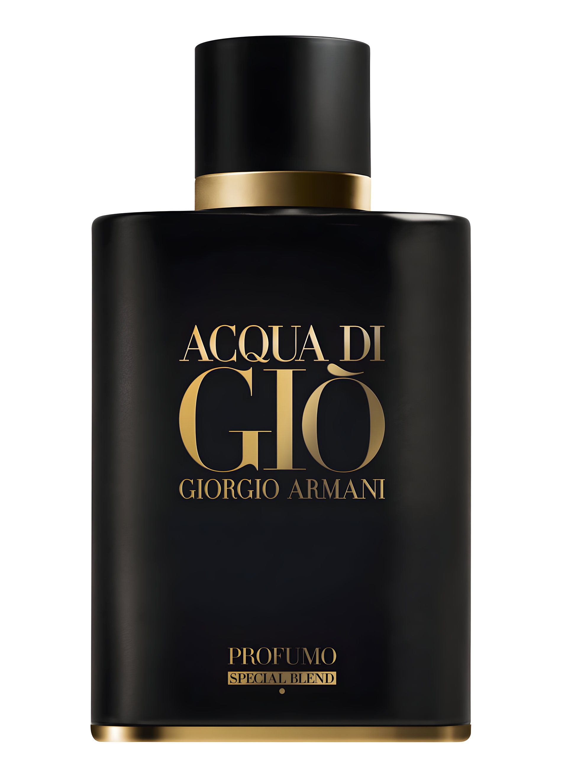 Picture of Acqua Di Gio Profumo Special Blend fragrance