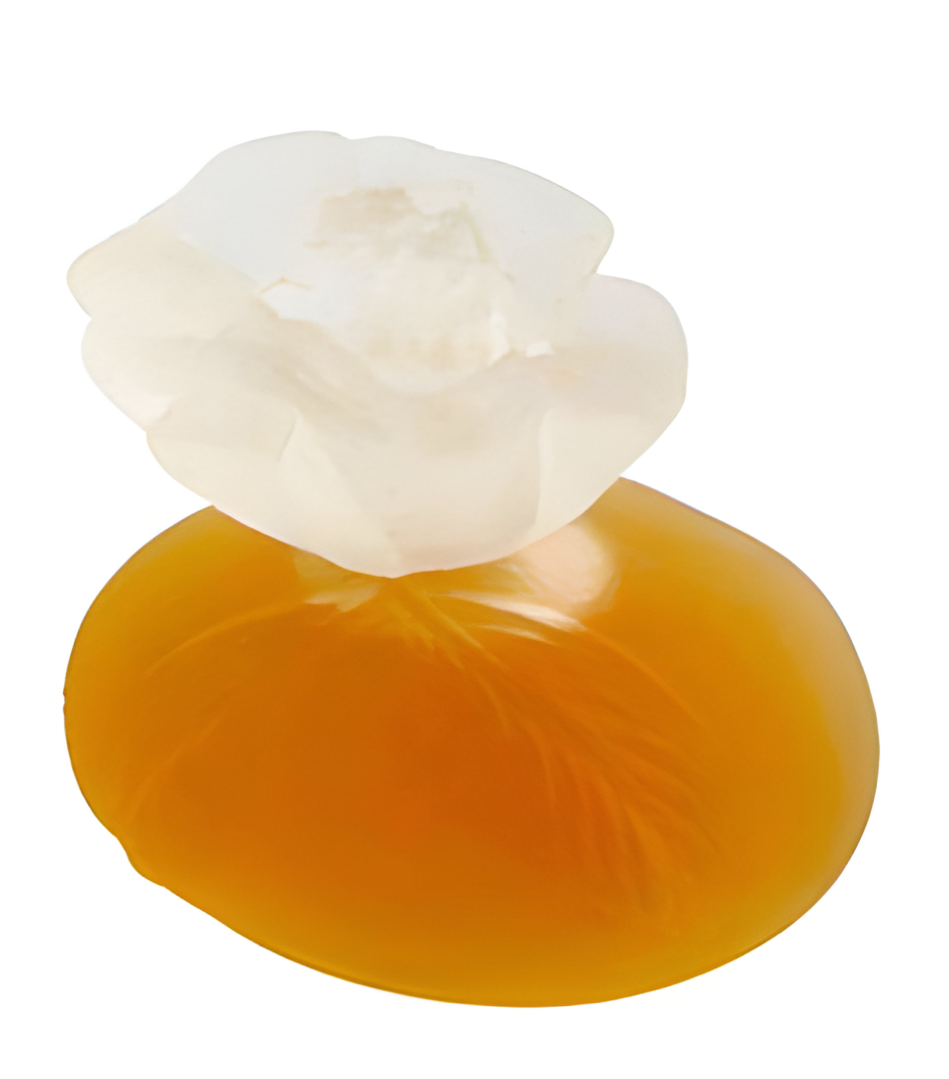 Picture of Kenzo fragrance