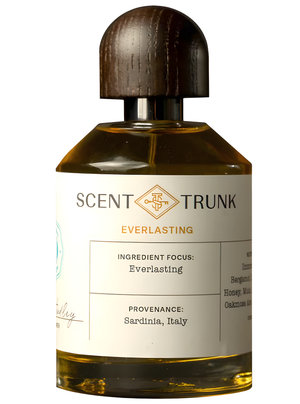 Everlasting by Scent Trunk perfume bottle