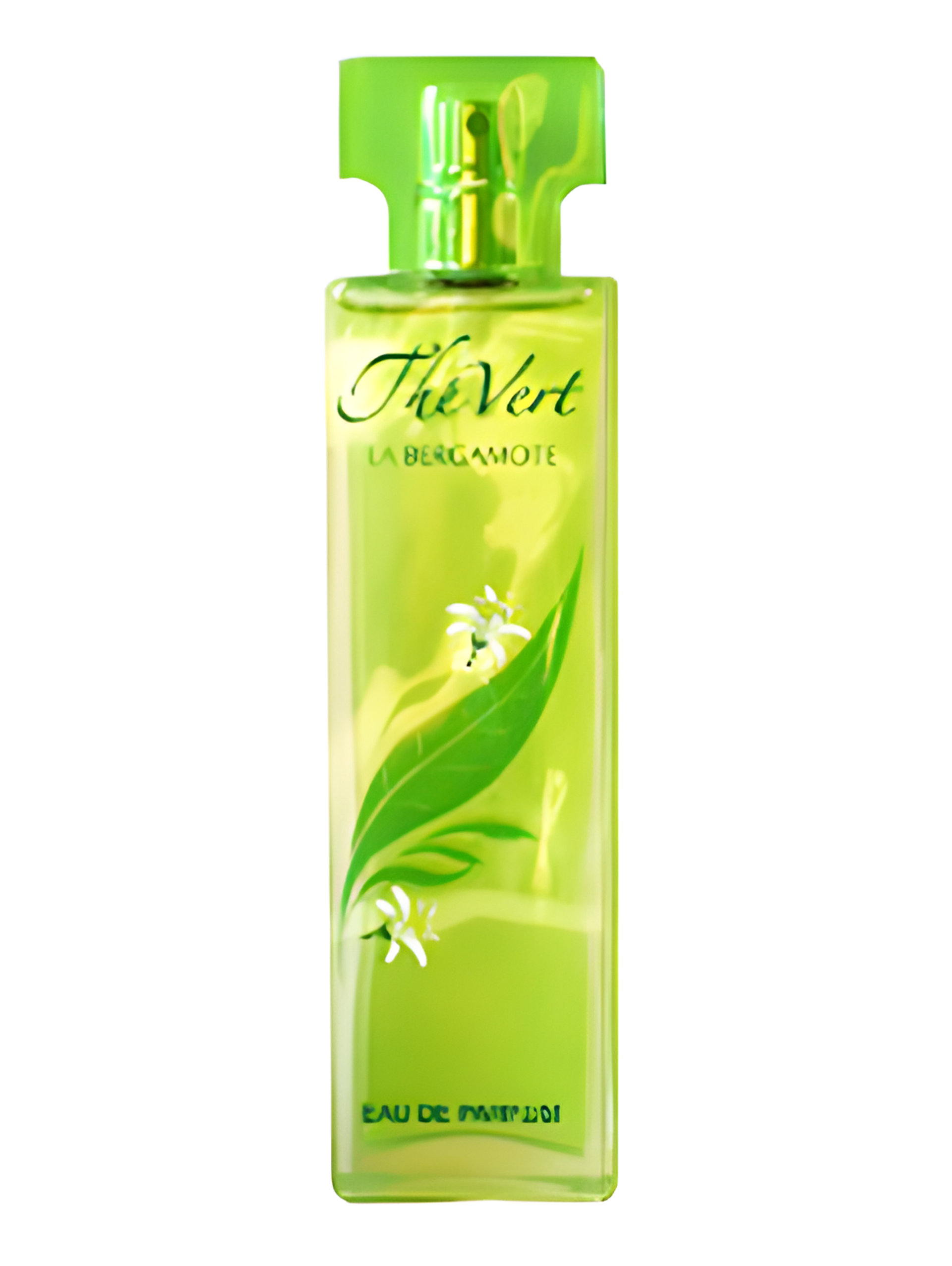 Picture of The Vert Bergamote fragrance