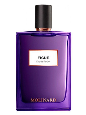 Figue Eau de Parfum by Molinard perfume bottle