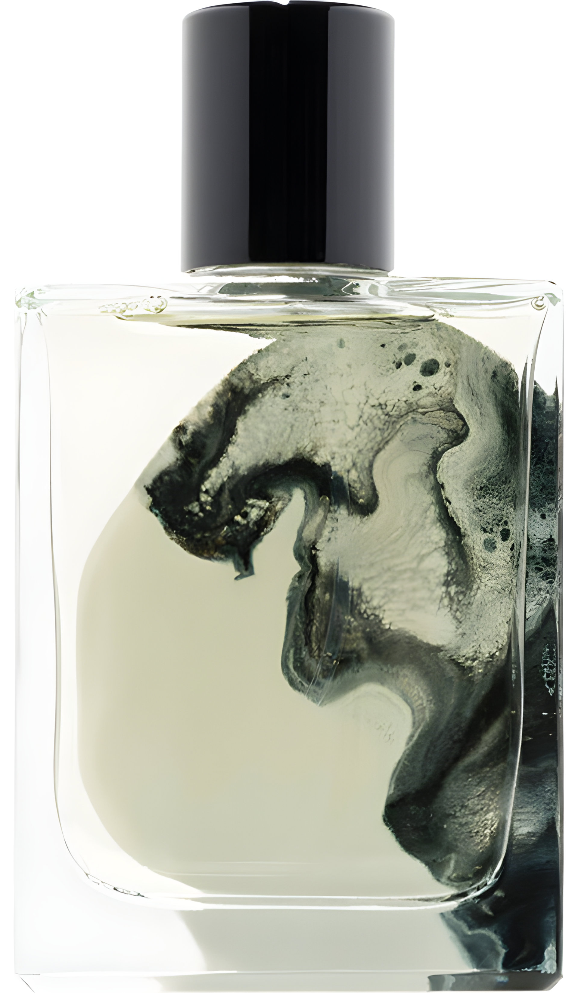 Picture of A Marvellous Entanglement fragrance
