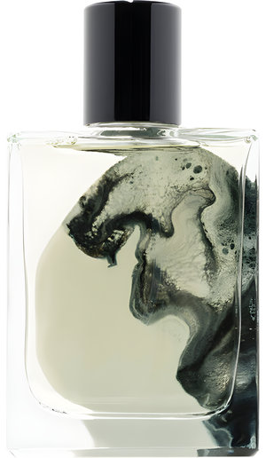 A Marvellous Entanglement by La Folie a Plusieurs perfume bottle