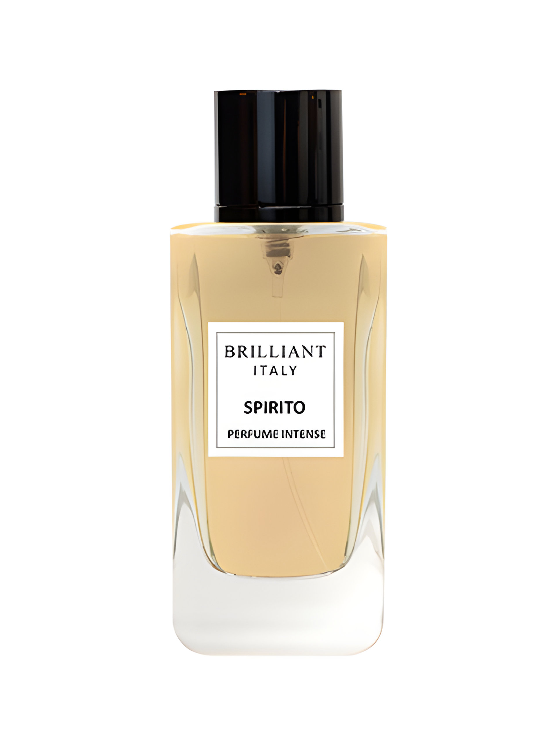 Picture of SPIRITO fragrance