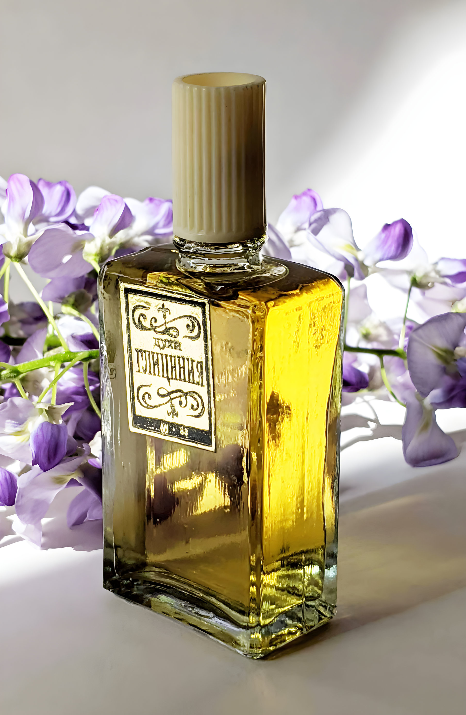 Picture of Глициния (Glicinia) fragrance