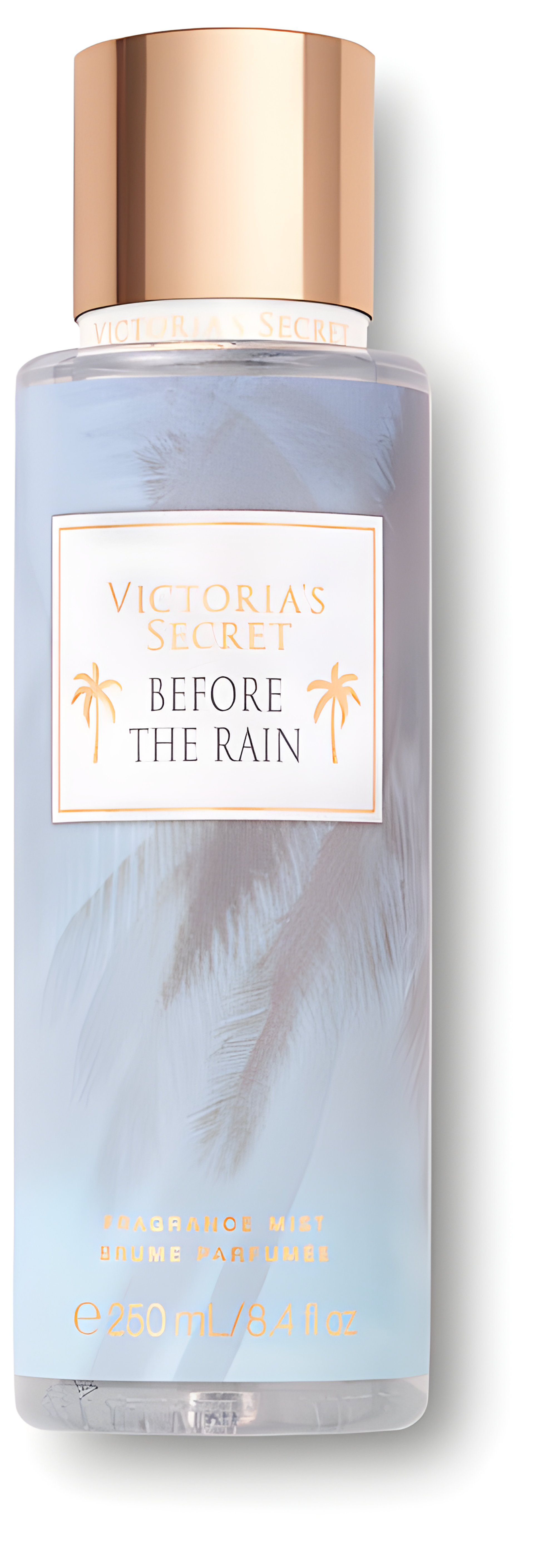 Picture of Before the Rain fragrance