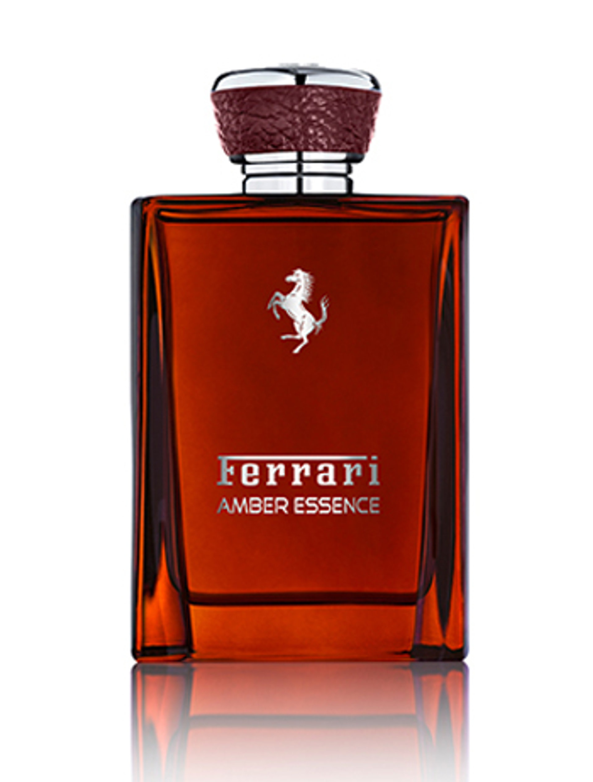 Picture of Amber Essence (2016) fragrance