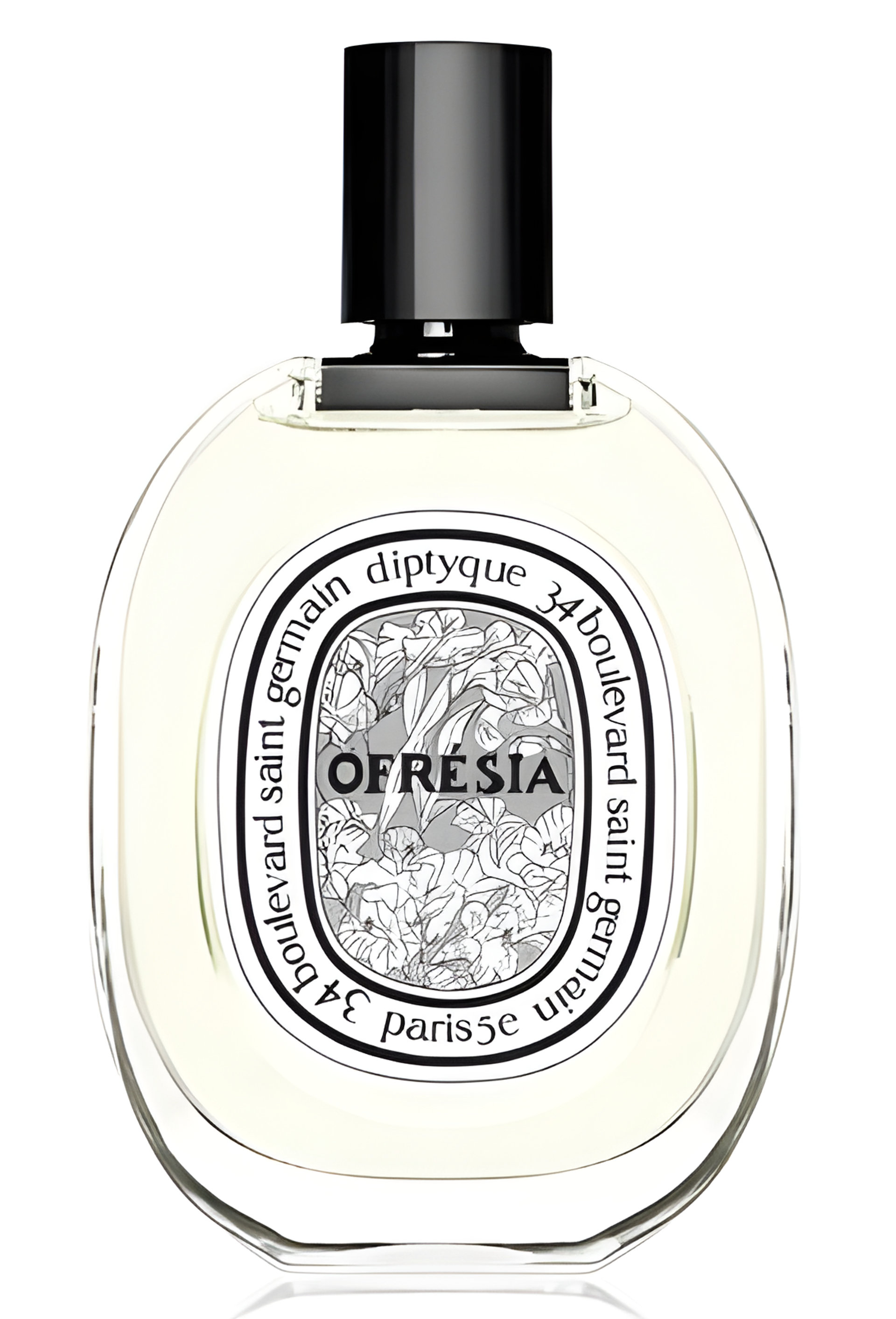Picture of Ofresia Eau de Toilette fragrance