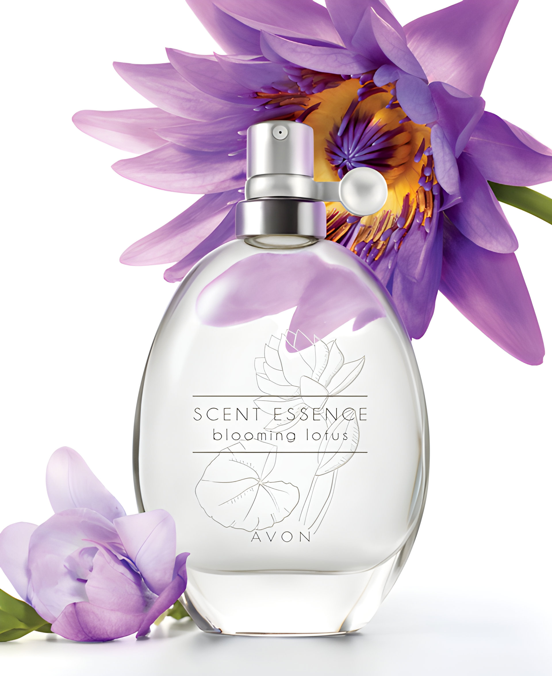 Picture of Scent Essence - Blooming Lotus fragrance