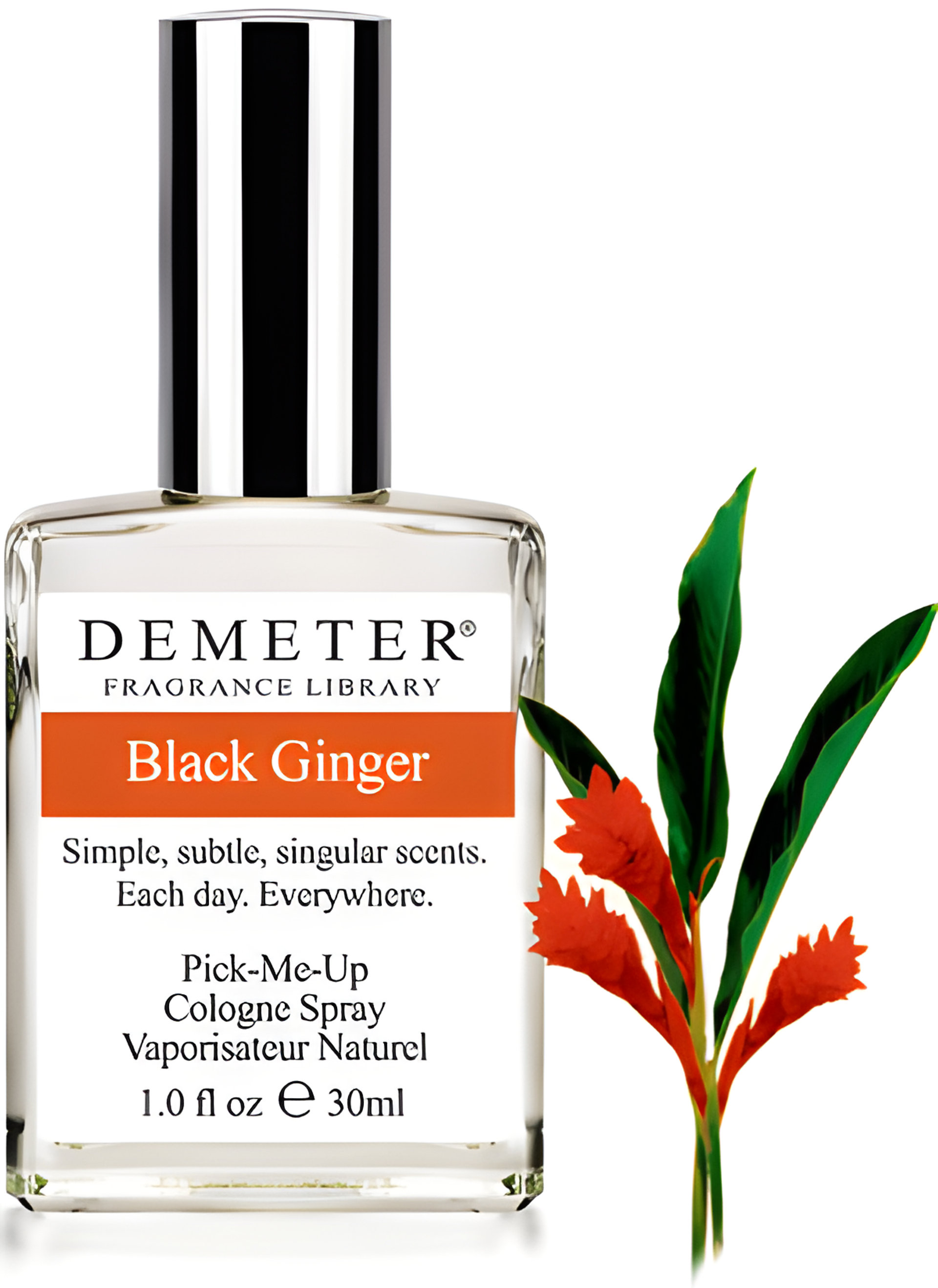 Picture of Black Ginger fragrance