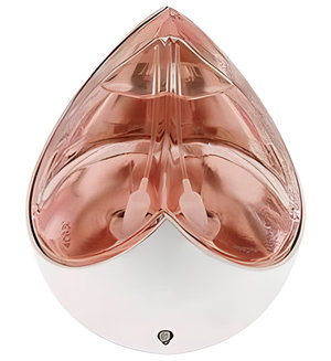 Kingdom Limited Edition by Alexander McQueen perfume bottle