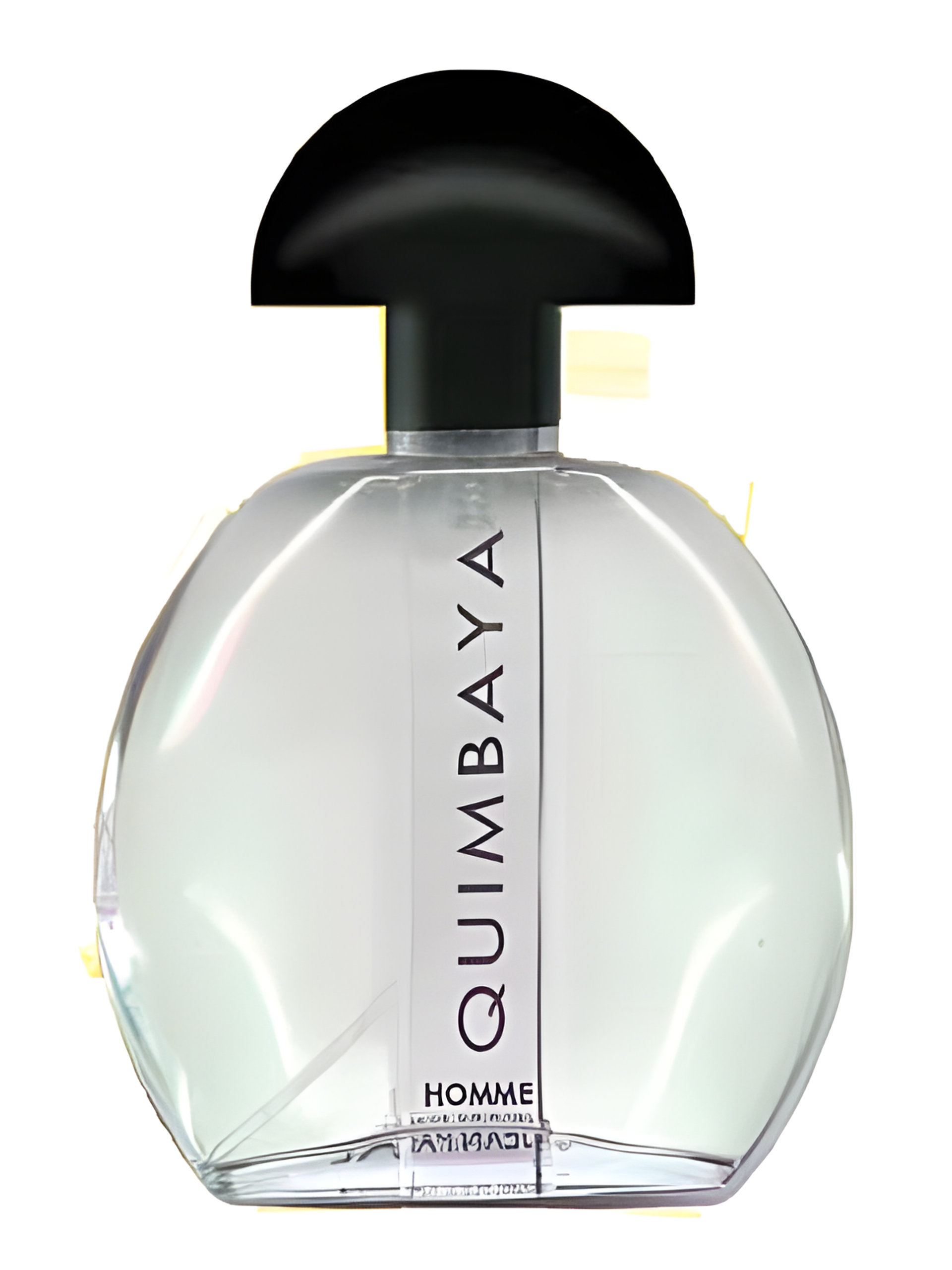 Picture of Quimbaya Pour Homme fragrance