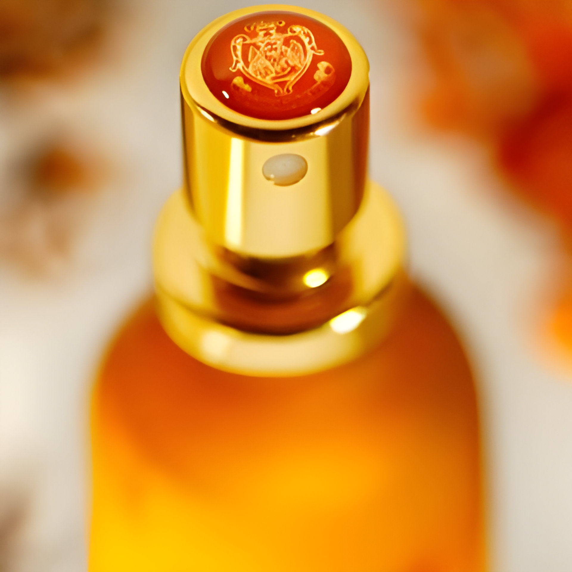 Picture of Aqua Moresca fragrance