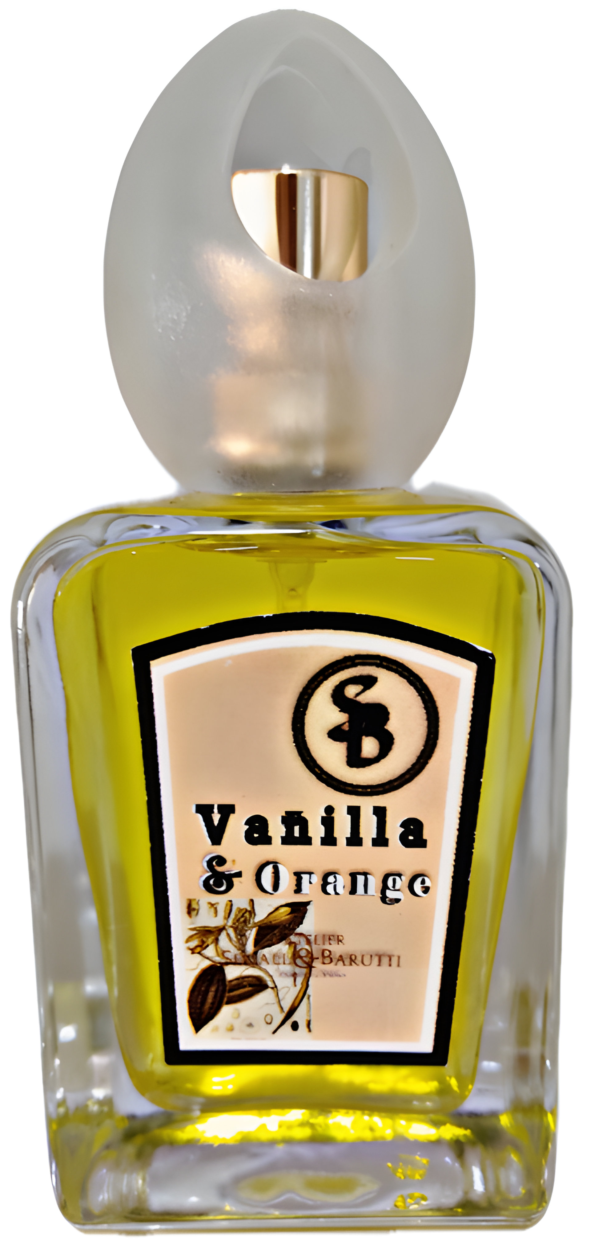 Picture of Vanilla & Orange fragrance