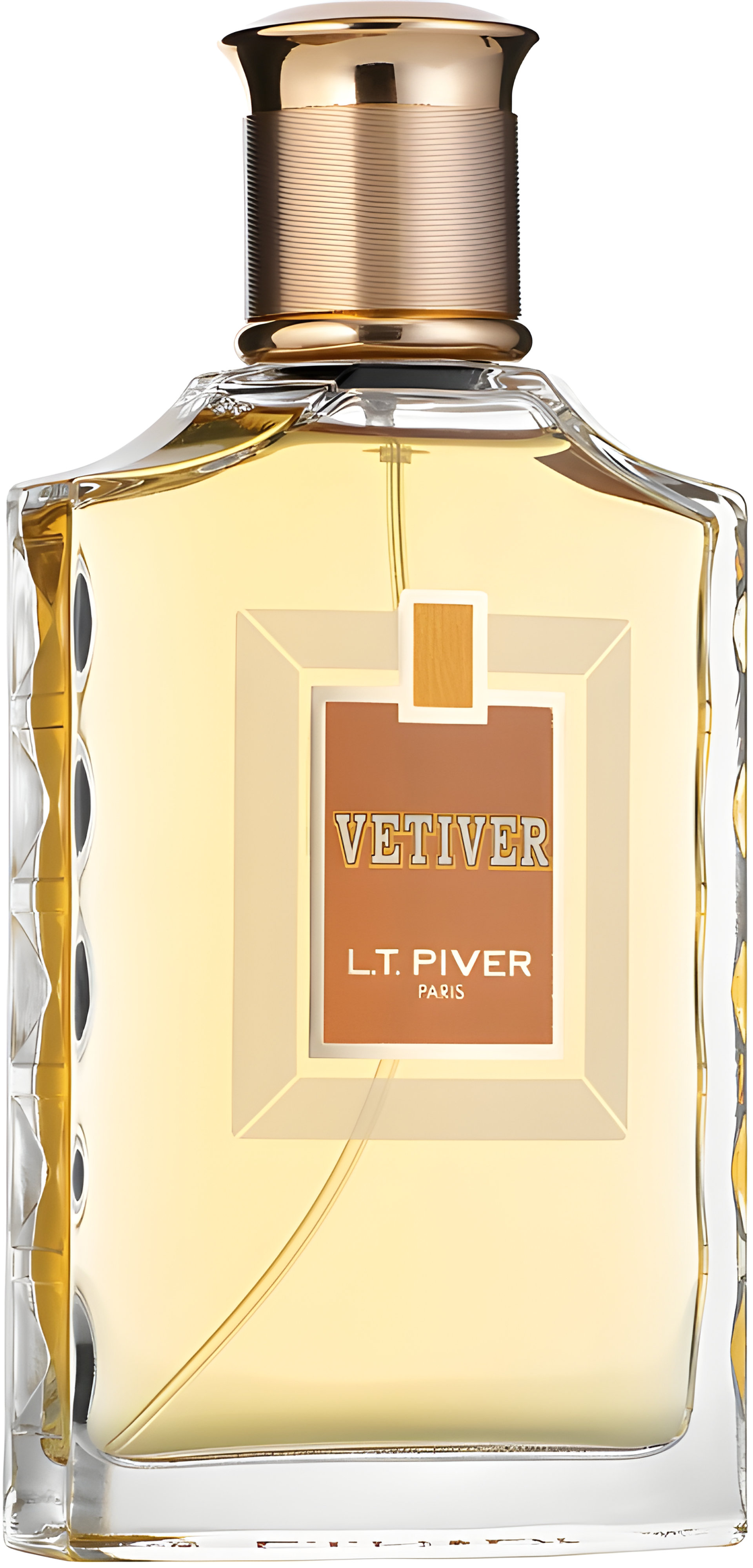 Picture of Vetiver fragrance