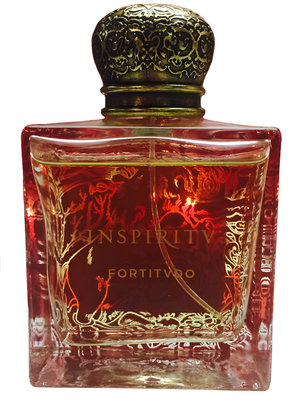 Fortitvdo (Fortitudo) by INSPIRITU perfume bottle