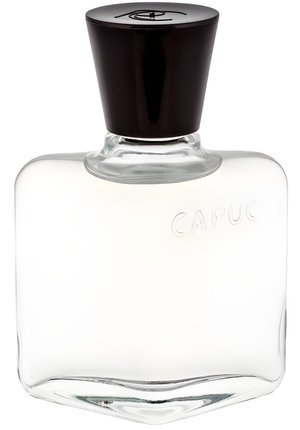 Capucci Pour Homme by Roberto Capucci perfume bottle