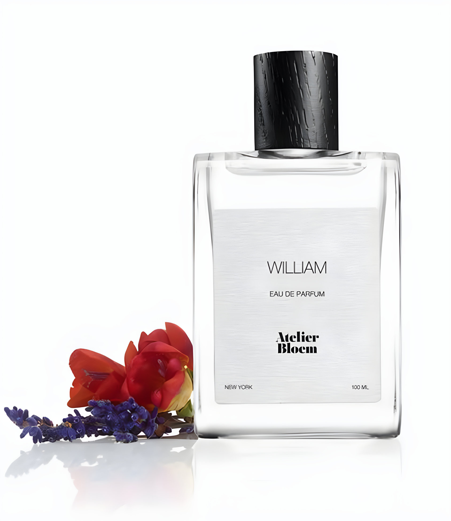 Picture of William fragrance