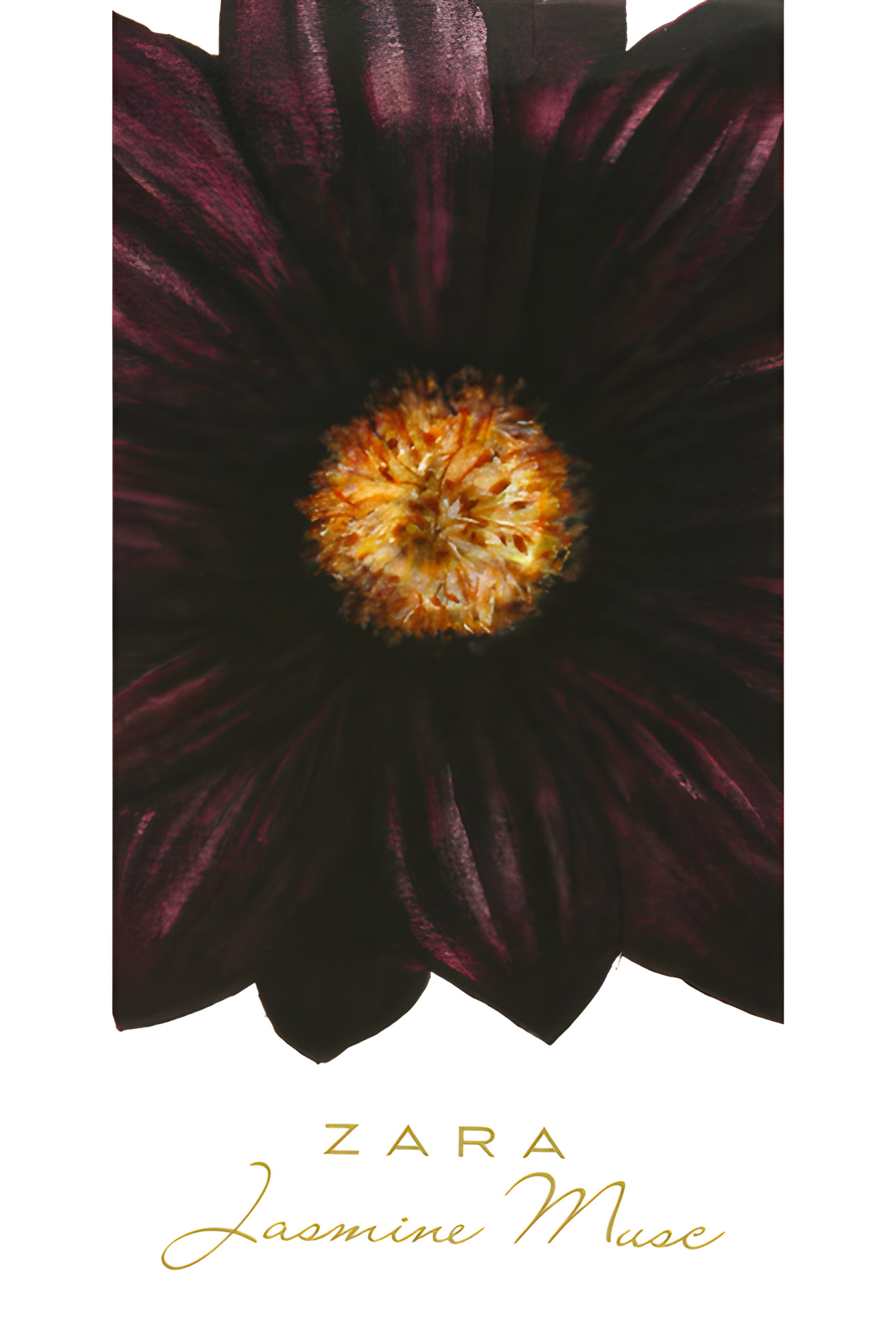 Jasmine Musc by Zara perfume bottle