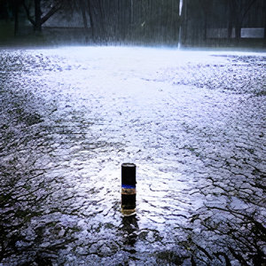 During the Rain by Solstice Scents perfume bottle