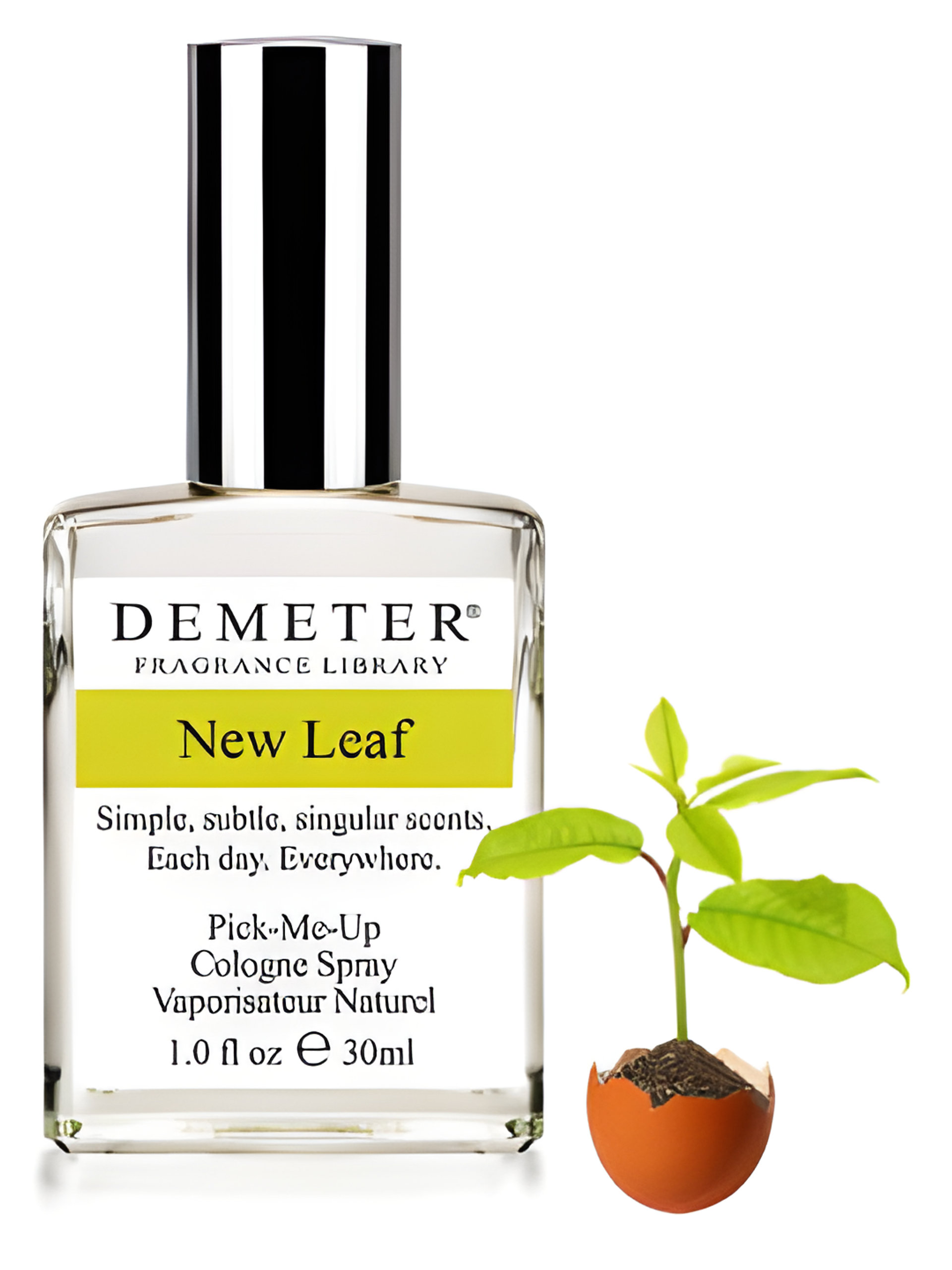 Picture of New Leaf fragrance