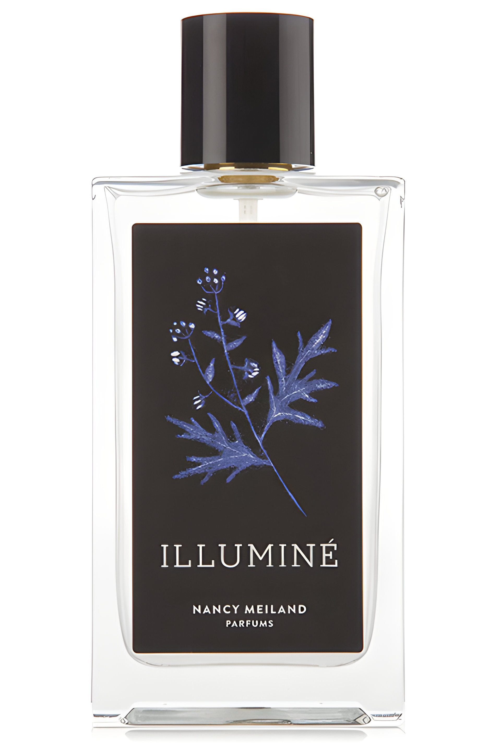 Picture of Illumine fragrance
