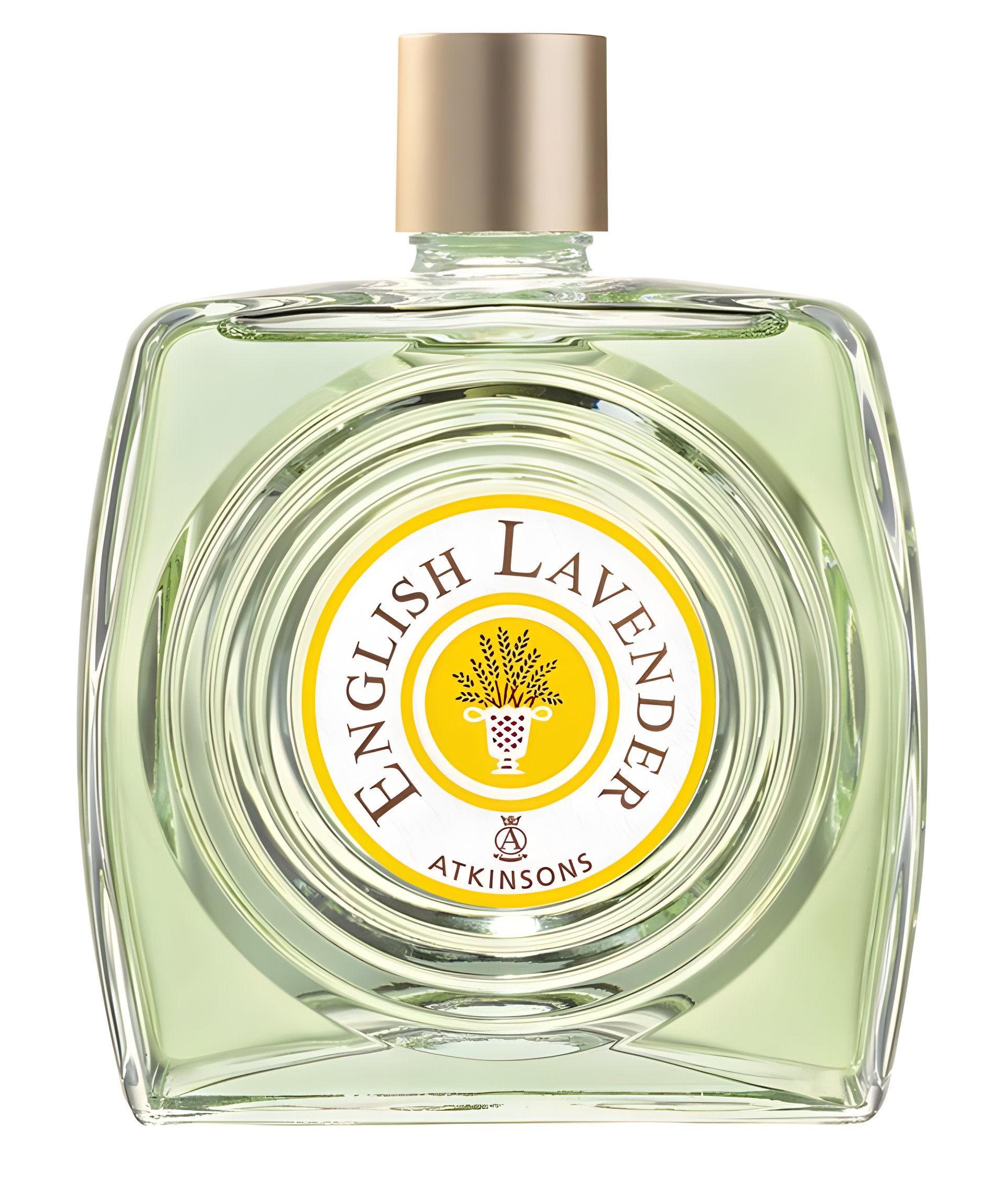 Picture of English Lavender fragrance