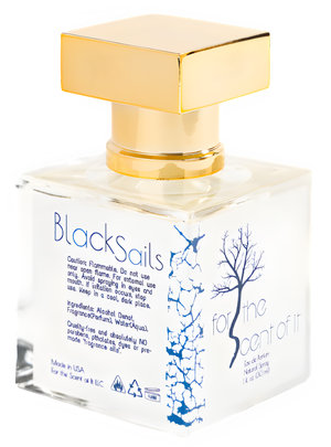Black Sails by For the Scent of It perfume bottle