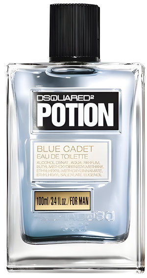 Potion Blue Cadet by DSQUARED² perfume bottle