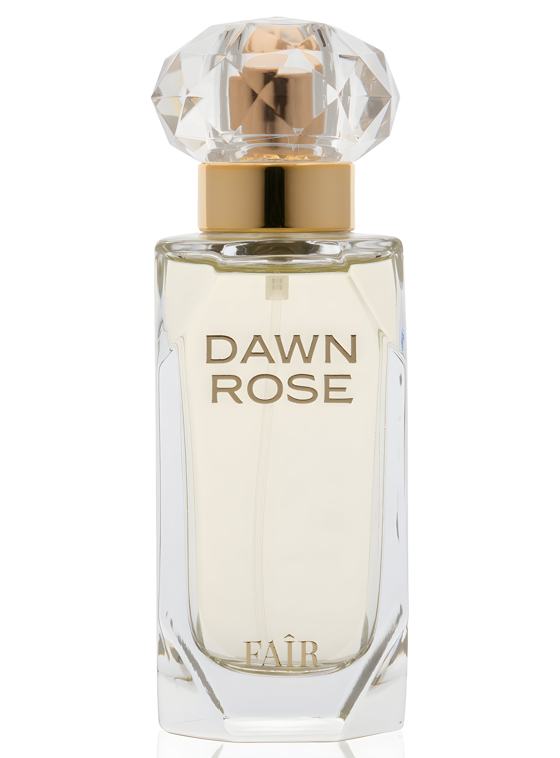 Picture of Dawn Rose fragrance