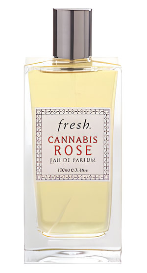 Cannabis Rose by Fresh perfume bottle