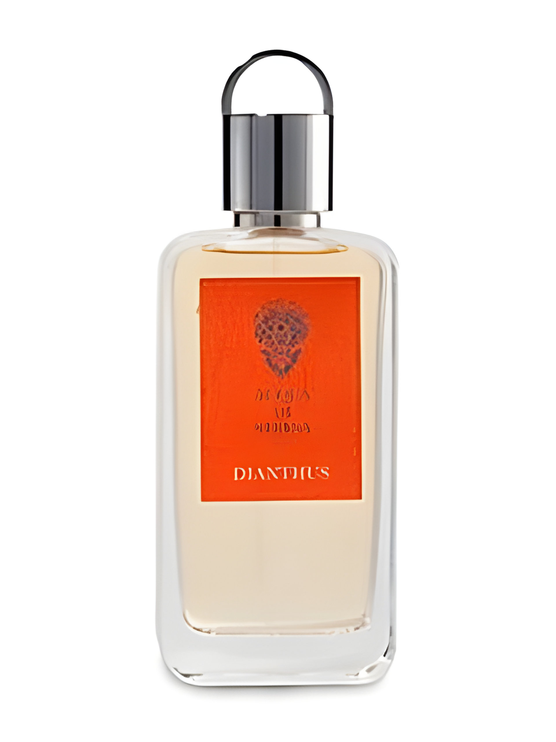 Picture of Dianthus fragrance