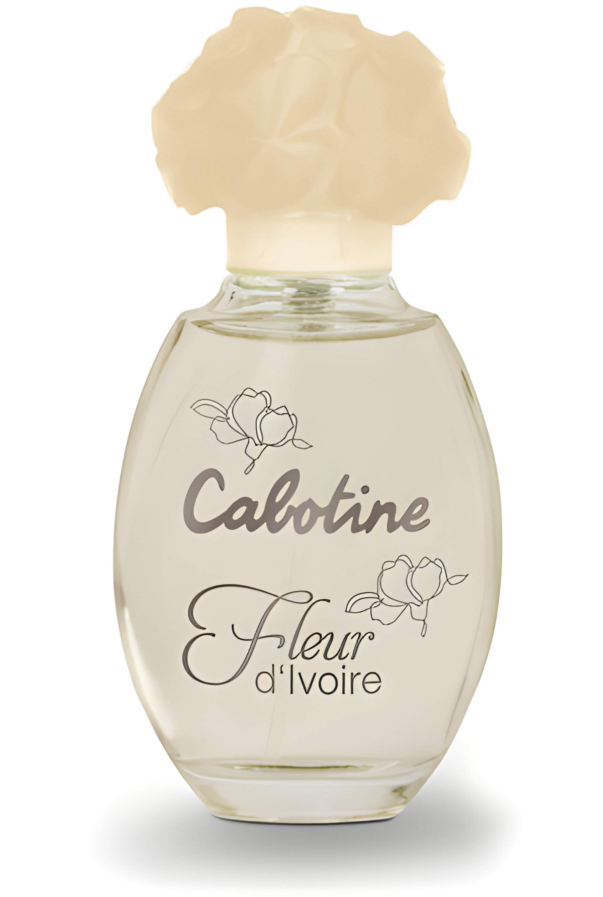 Picture of Cabotine Fleur d’Ivoire fragrance