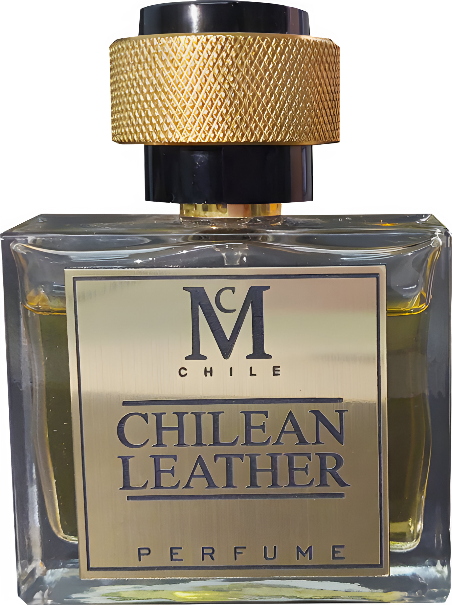 Picture of Chilean Leather fragrance