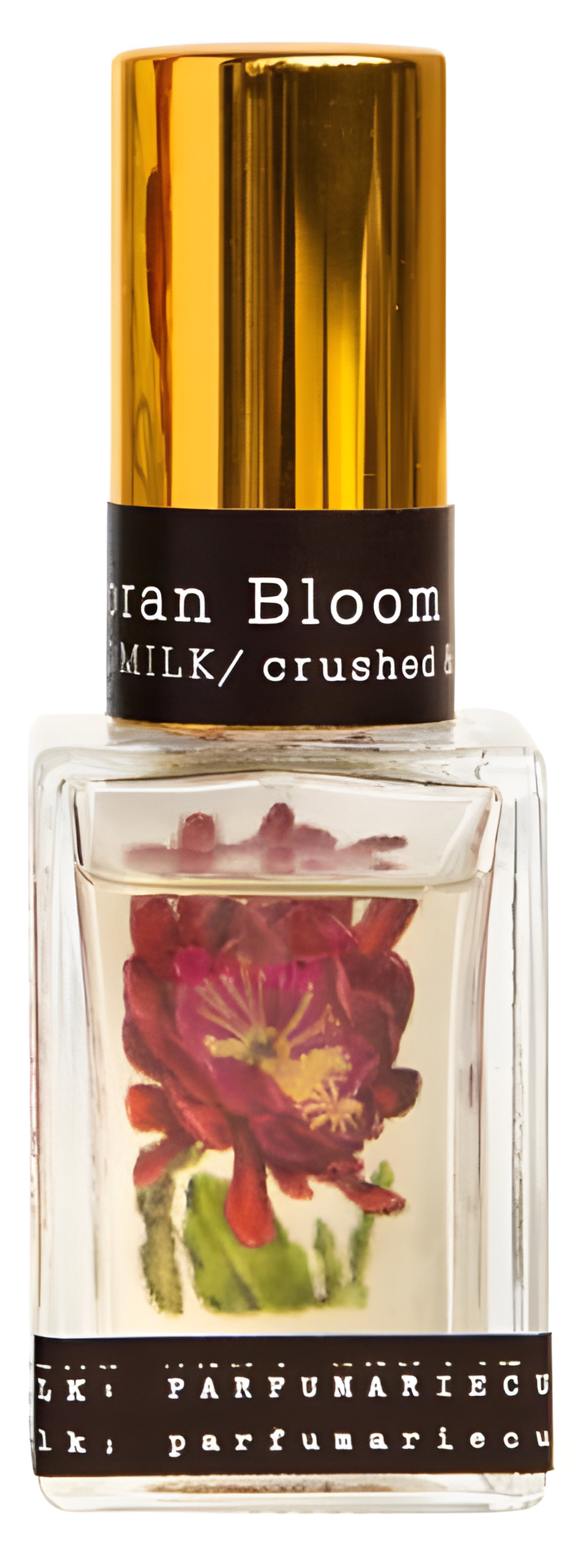 Picture of Sonoran Bloom fragrance