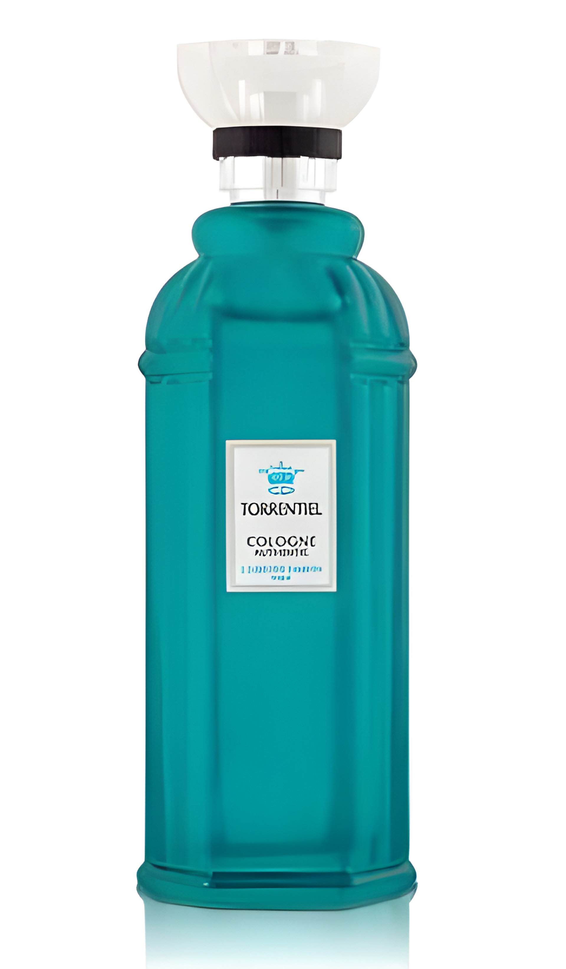 Picture of Torrentiel fragrance