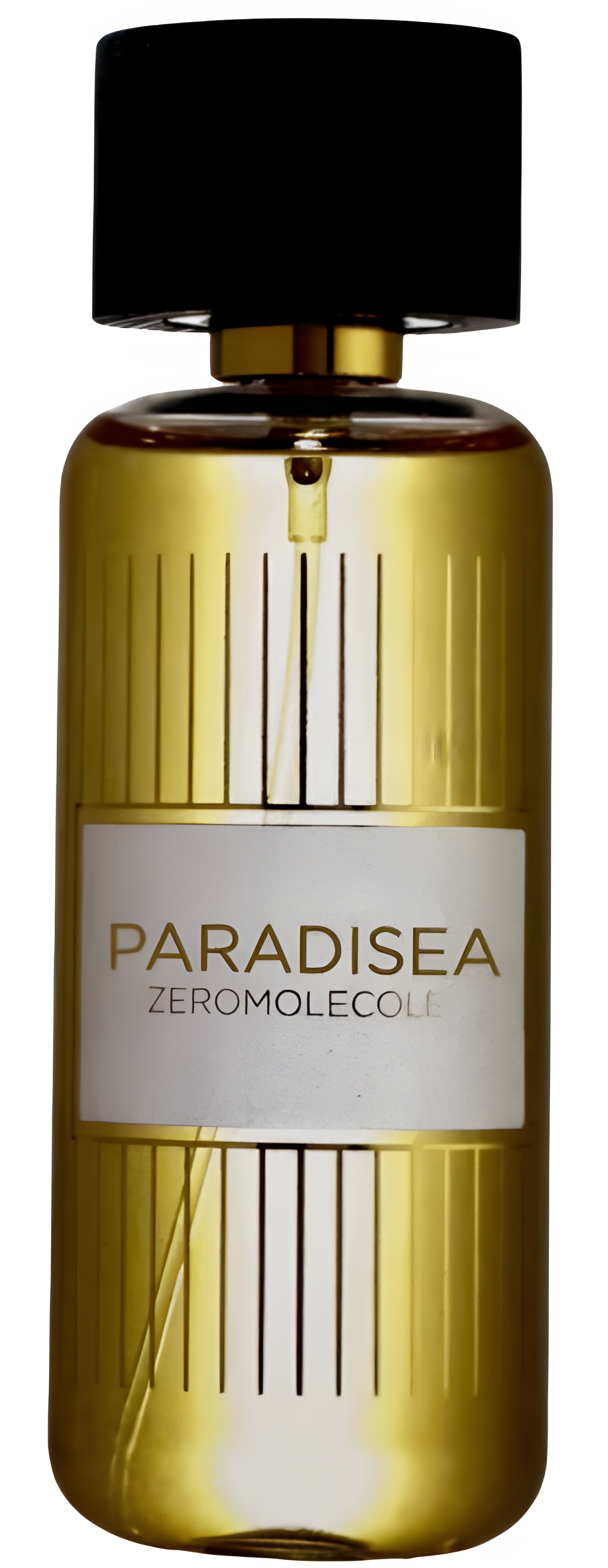 Picture of Paradisea fragrance
