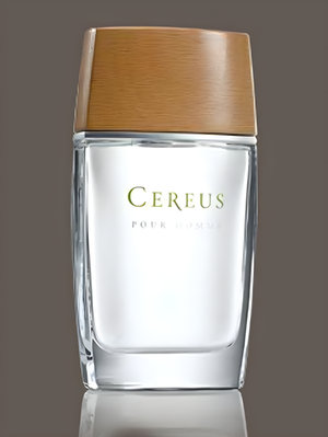 Cereus No.4 by Cereus perfume bottle