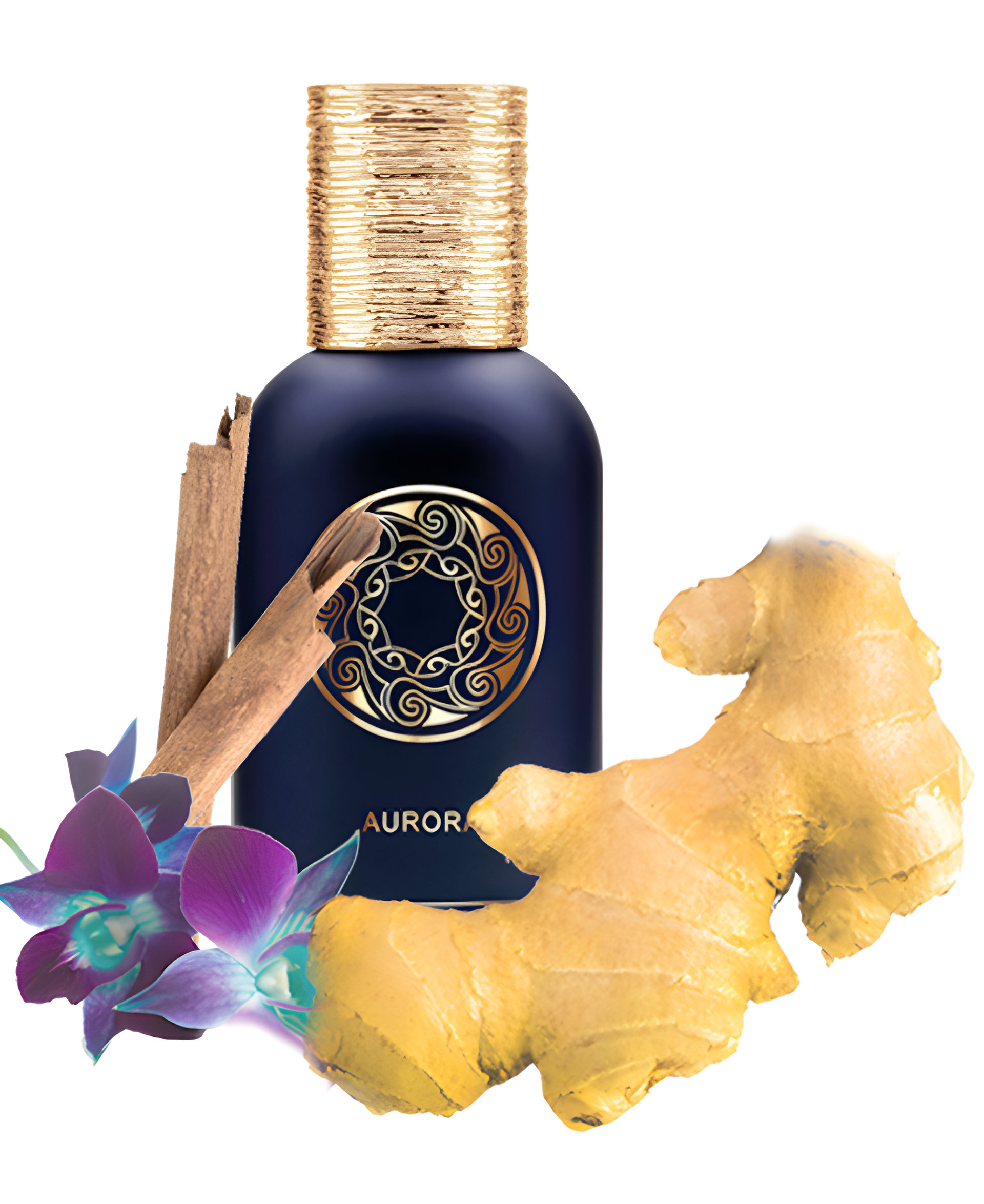 Picture of Aurora fragrance