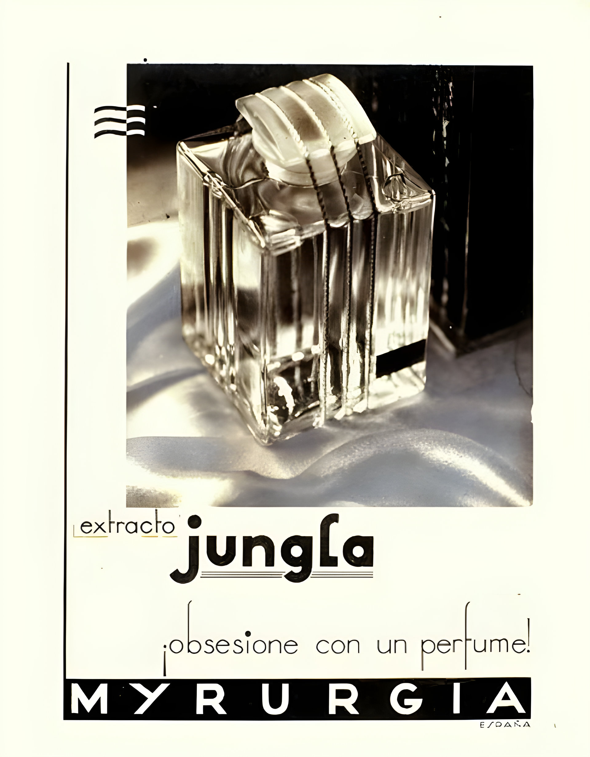 Picture of Jungla fragrance