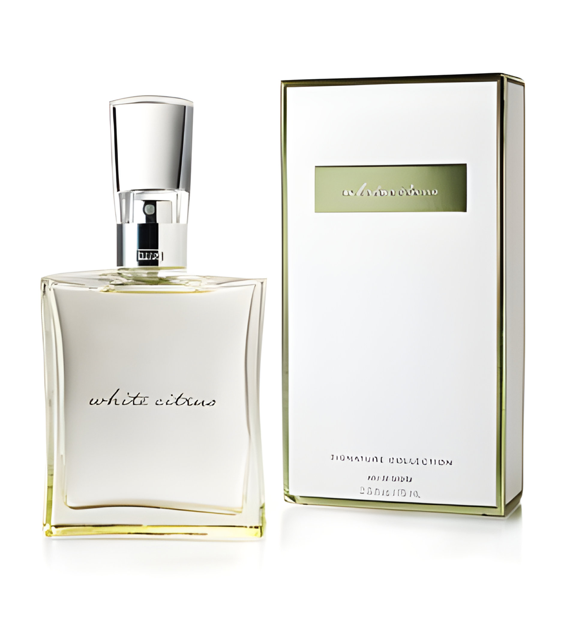Picture of White Citrus Eau de Toilette fragrance
