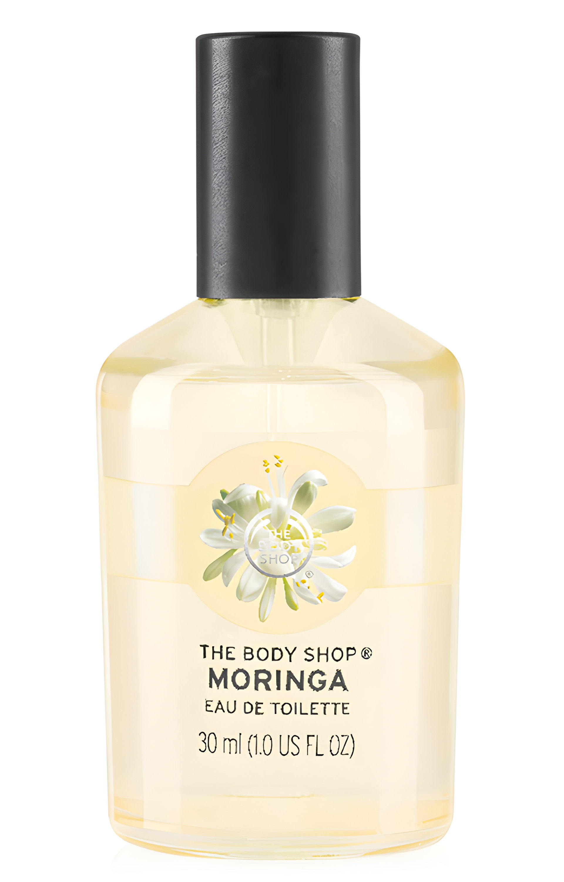Picture of Moringa fragrance
