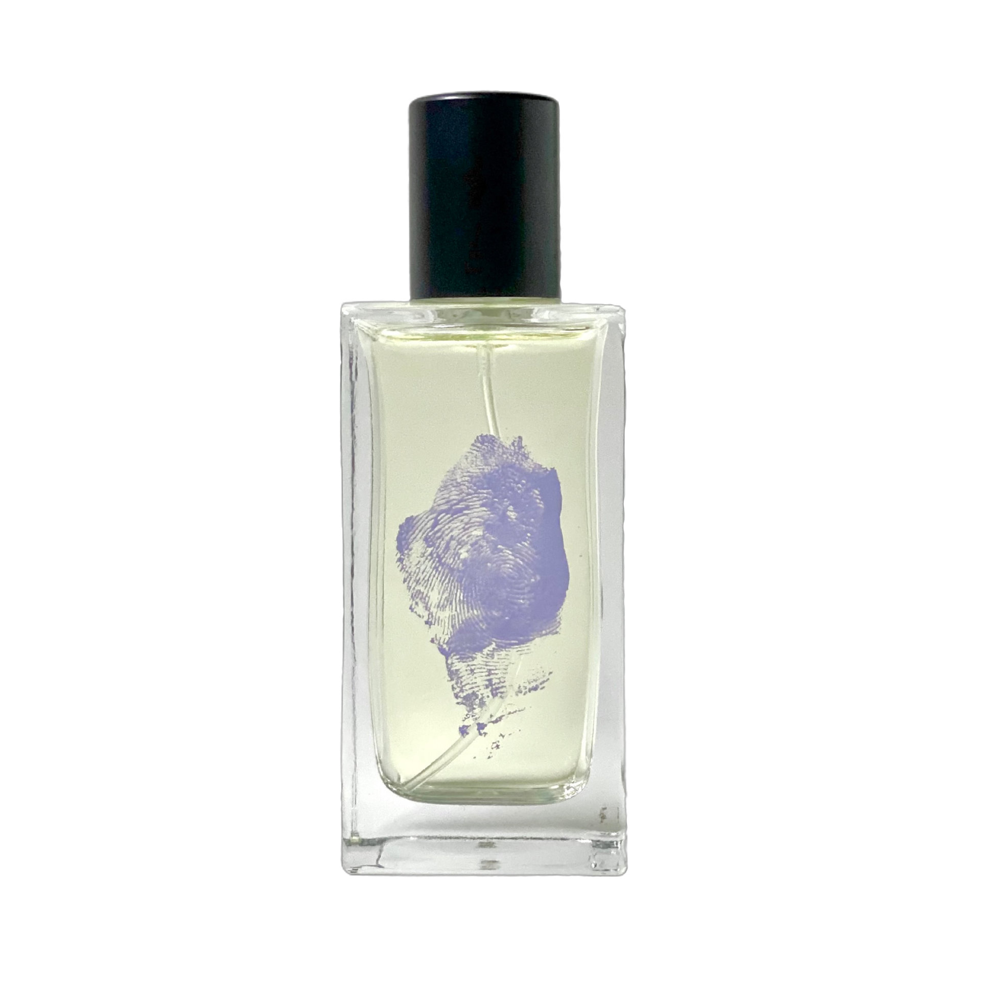 Picture of Spite Eau de Toilette fragrance