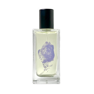 Spite Eau de Toilette by Chronotope perfume bottle