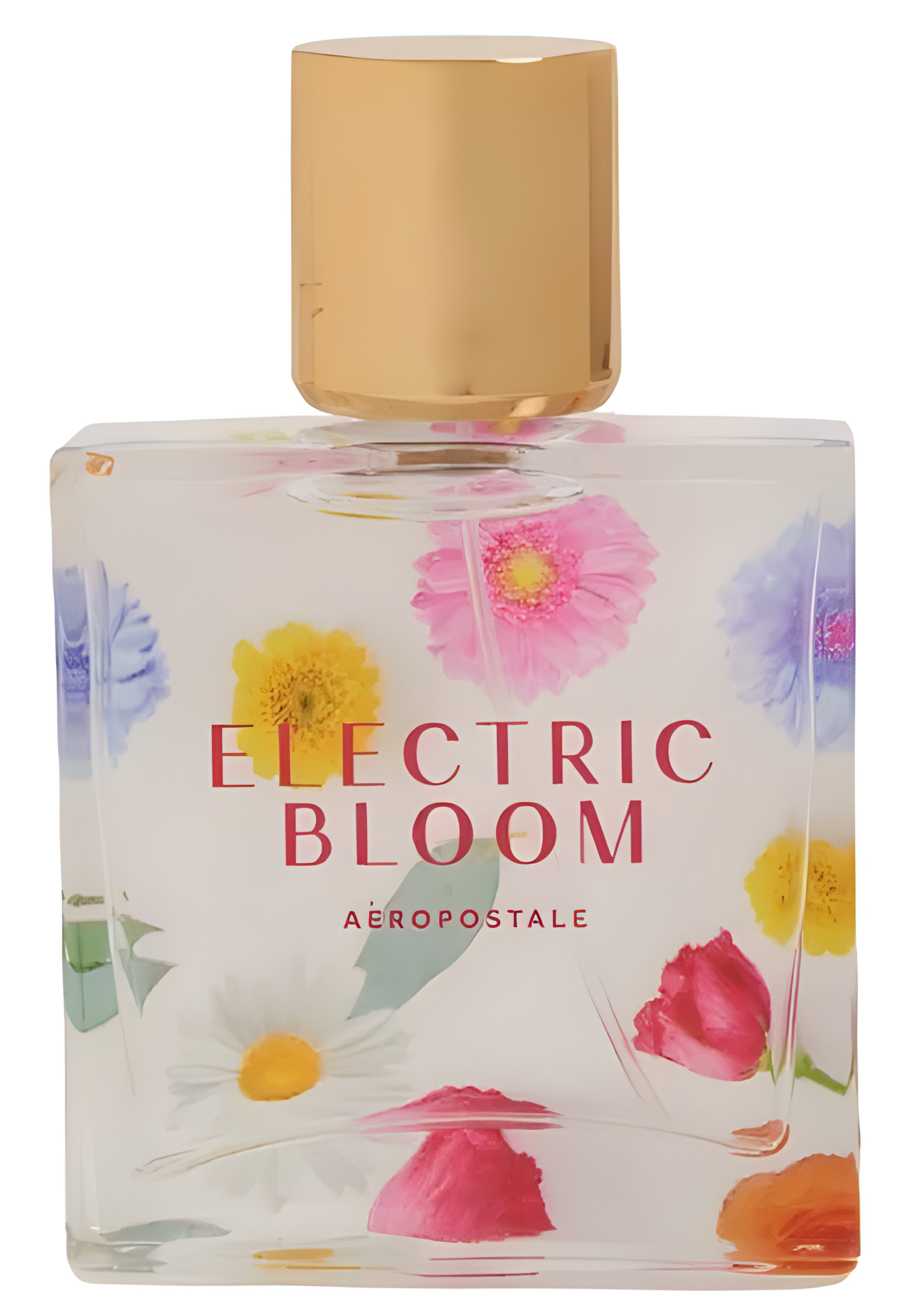 Eletric Bloom by Aéropostale