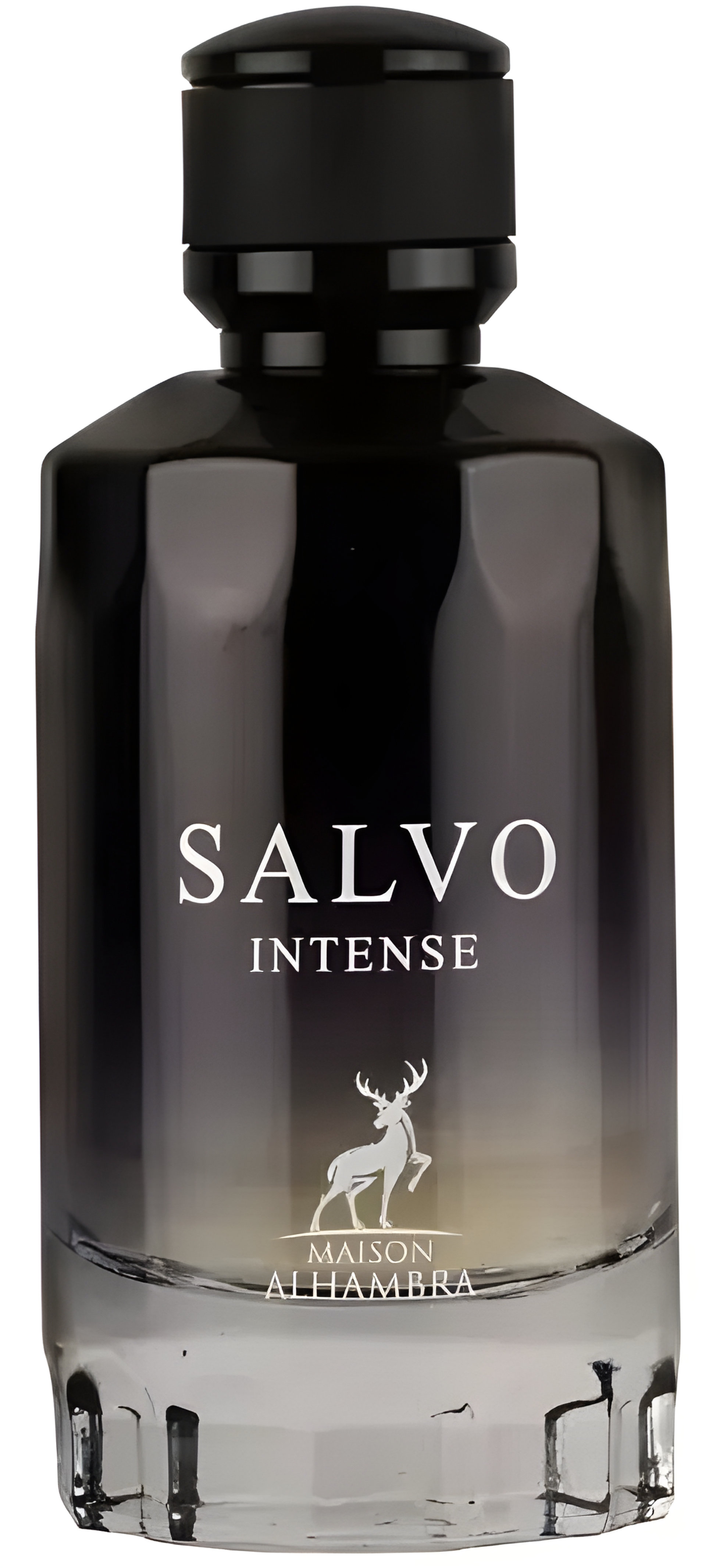 Picture of Salvo Intense fragrance