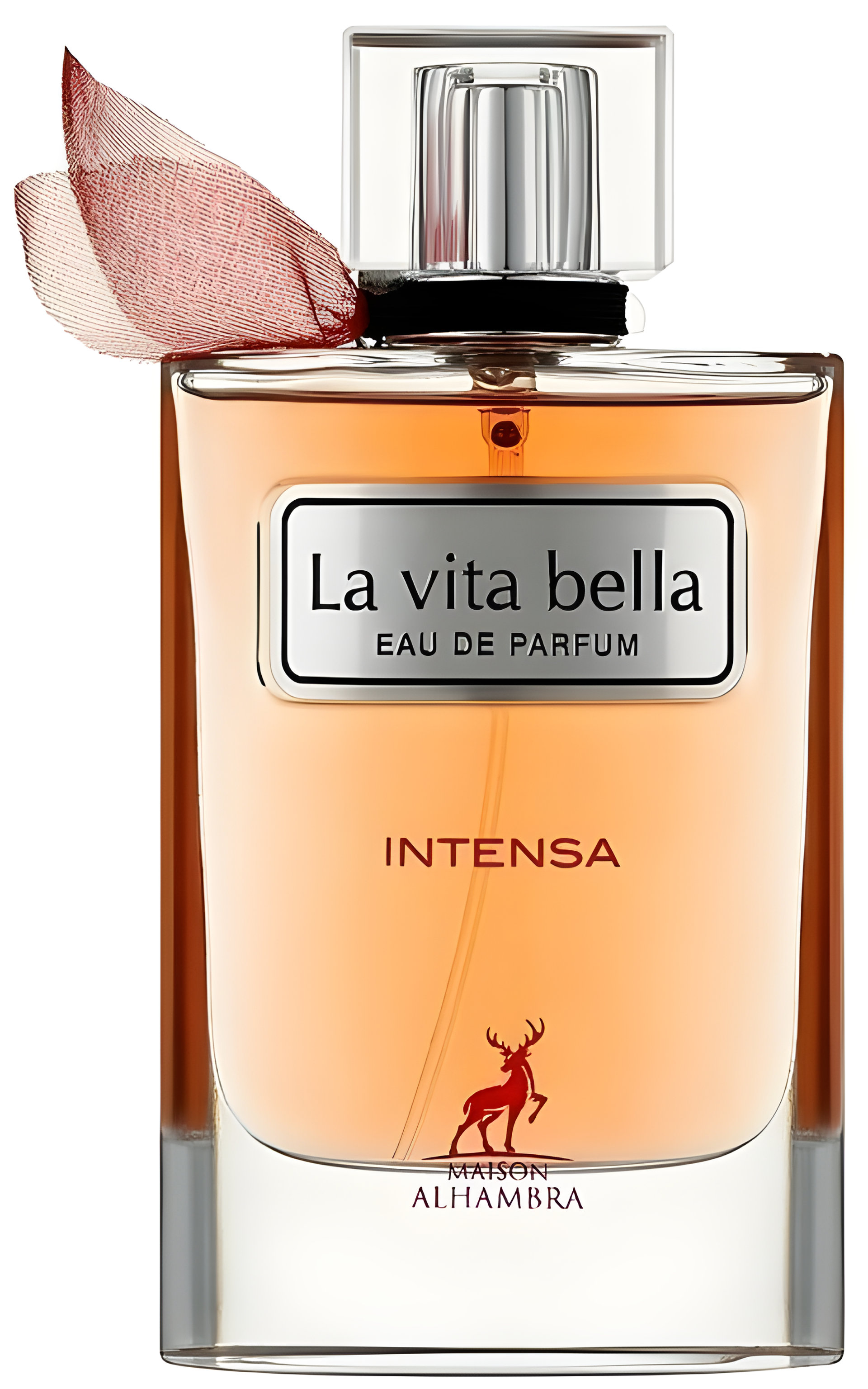 Picture of La Vita Bella Intensa fragrance