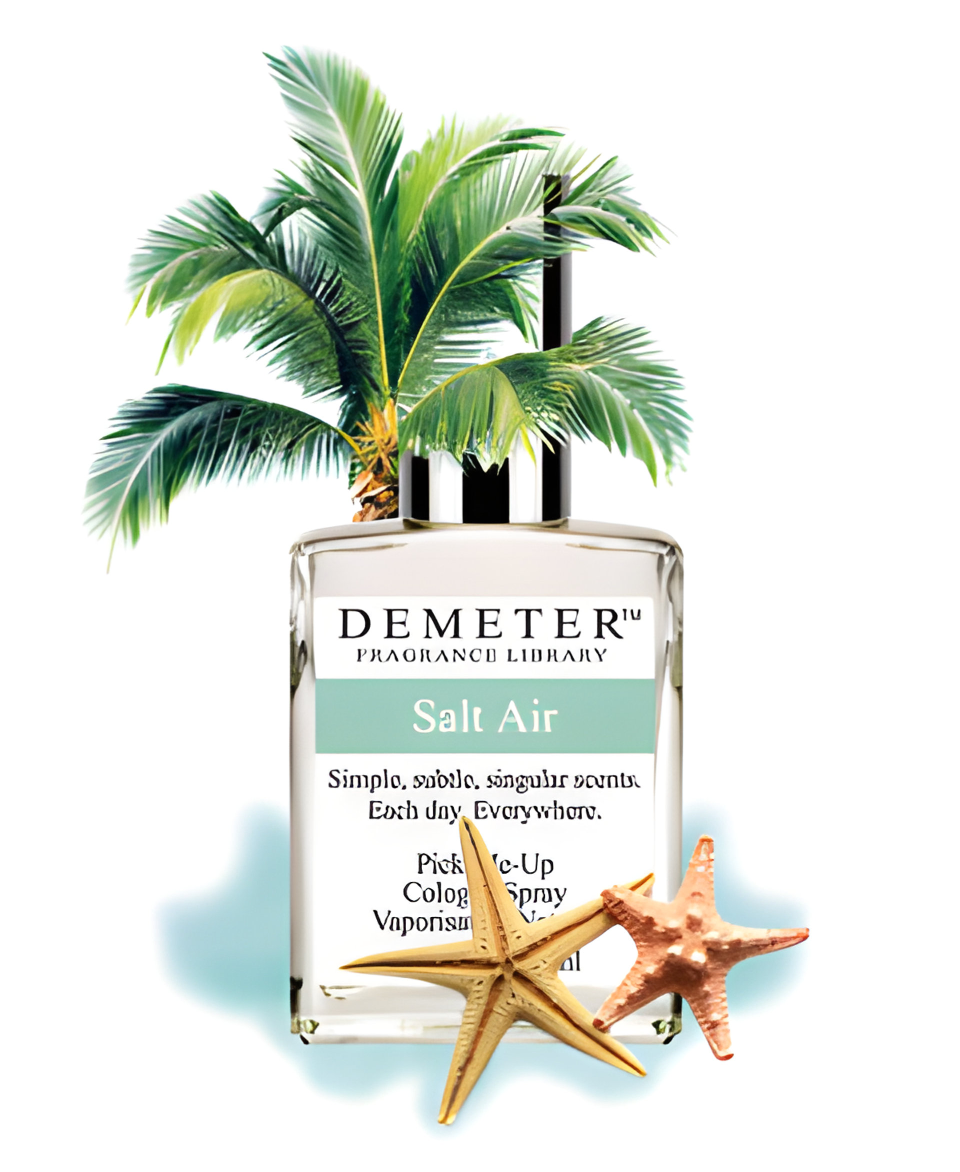 Picture of Salt Air fragrance