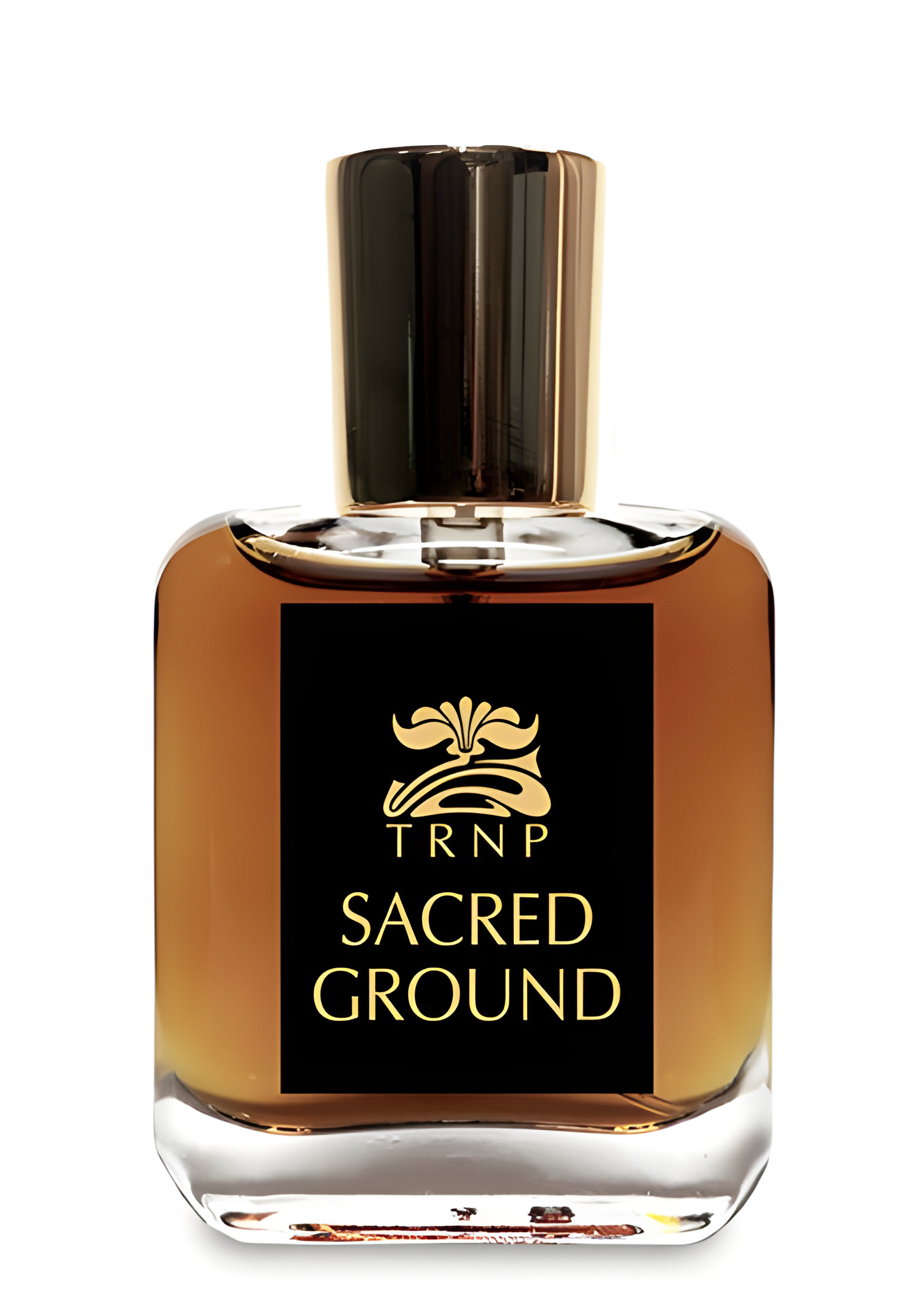 Picture of Sacred Ground fragrance
